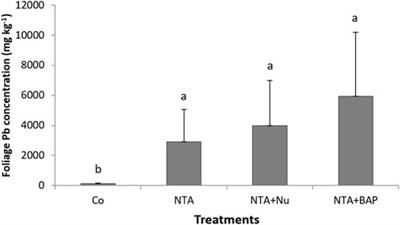 Phytoextraction of lead (Pb) contaminated soil by switchgrass (Panicum virgatum L): Impact of BAP and NTA applications